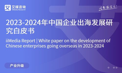 2023年中國互聯(lián)網(wǎng)家居售后服務(wù)市場研究報告 信息技術(shù)咨詢服務(wù)的角色與前景